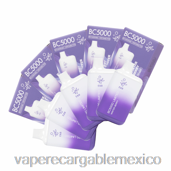 Vaporizador Recargable [paquete De 10] Bc5000 Desechable